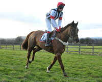 TVRC - Young Horse Maiden Division 2