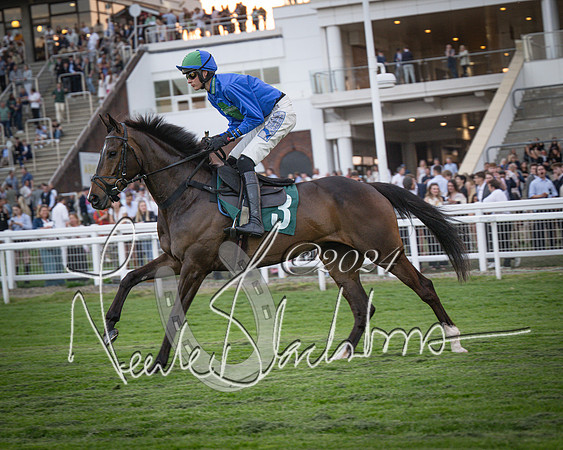 Race - 7 The Royal Gloucester Hussars Open Hunter's steeplechase 2m4f 127y (44 of 210)