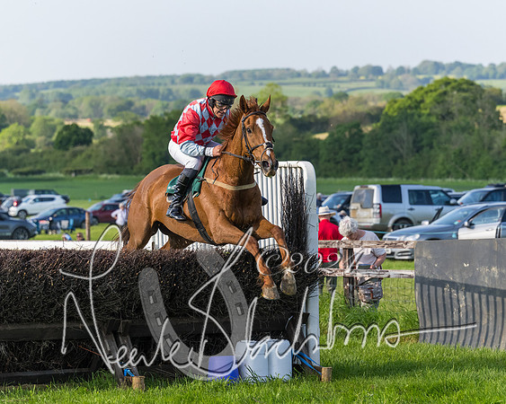 Race 7 - Veteran Horse (174 of 246)