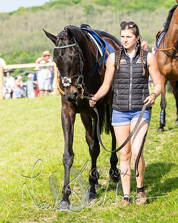 Race 5  - Maiden race 2m5F Div-2 (21 of 205)