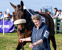 Race 5 - PPORA Five years and over (19 of 163)