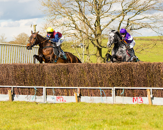Race 5 - Restricted  (32 of 118)