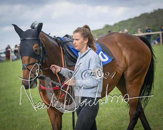Race 4 - The Dickie Lim Mixed Open Race (5 of 101)