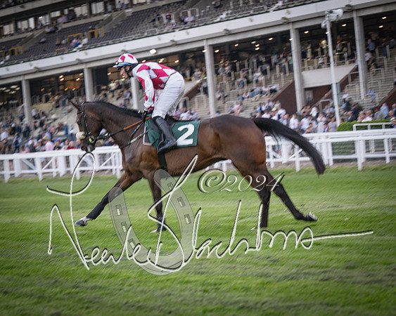 Race - 7 The Royal Gloucester Hussars Open Hunter's steeplechase 2m4f 127y (57 of 210)