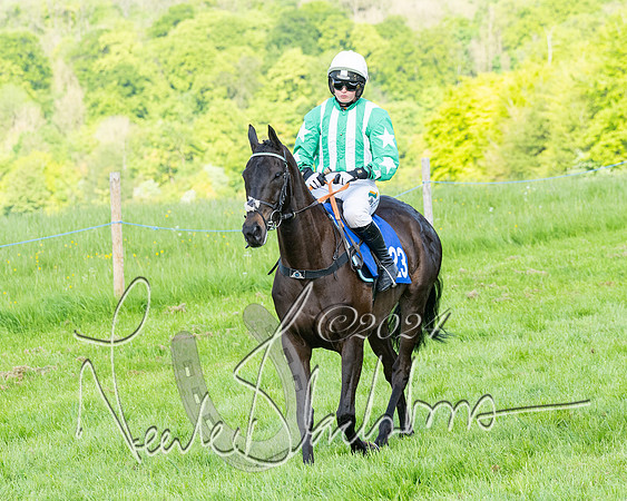 Race 5  - Maiden race 2m5F Div-2 (117 of 205)