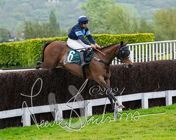 Race 5 - Mares Open  (75 of 129)