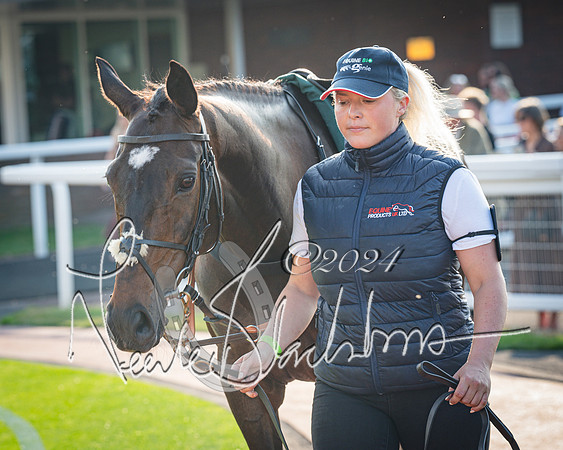 Race 4 - The Jonathan Neesom memorial open Hunter’s steeplechase 3m2f 70y (10 of 167)