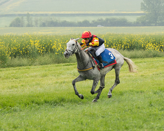 Pony Race 2 (55 of 113)