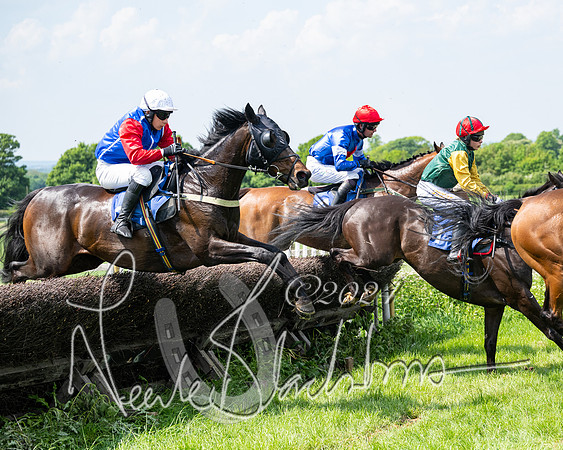 RAce 1 - Conditionsn [Level 2] (143 of 219)