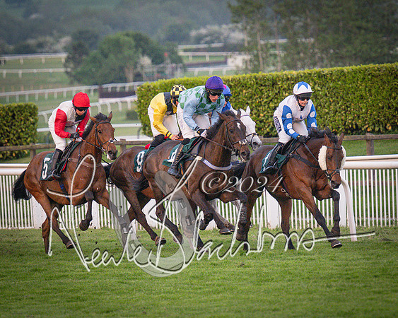Race - 7 The Royal Gloucester Hussars Open Hunter's steeplechase 2m4f 127y (65 of 210)