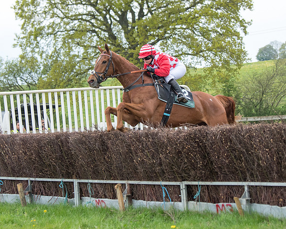 Race 6 - Restricted (105 of 173)