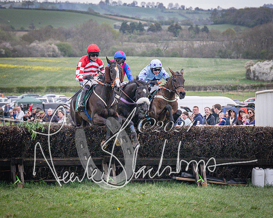 Race 6 - The Restricted Race (66 of 101)