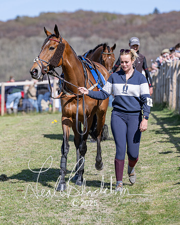 Race 5 - The restricted (11 of 113)