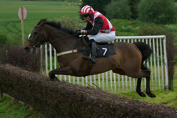Race Six 53