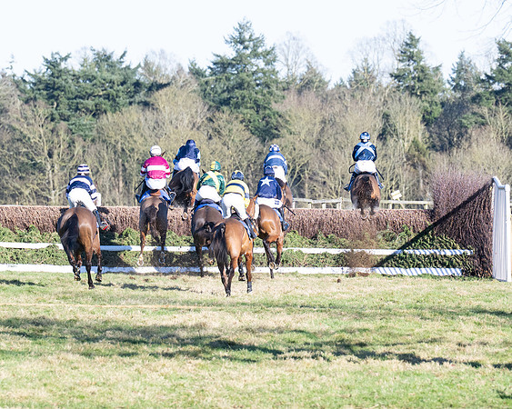 Race 5 - Maiden (41 of 123)