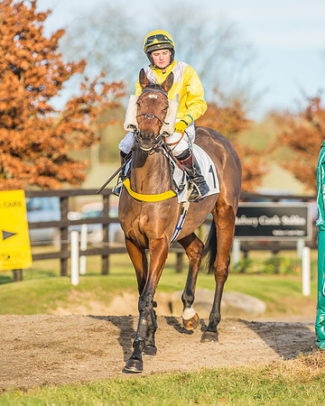 Race 5 - Red Mills Intermediate Race-7