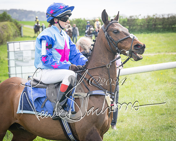 Pony Race 2 (11 of 84)-
