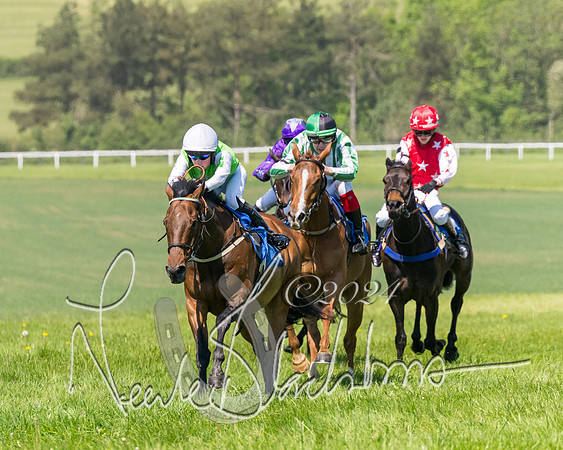 Pony Races  (65 of 141)