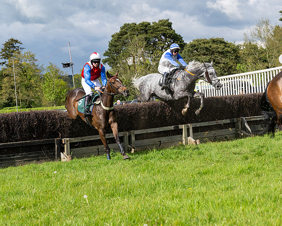 Race 5  - Maiden  (26 of 84)