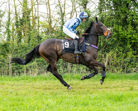 Race 2 - 2M4F Conditions (54 of 195)