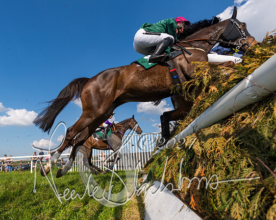 Race 6 - Owner trainer conditions (99 of 272)