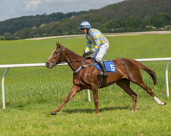 Race 2 - Restricted  (22 of 90)