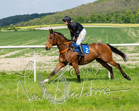 Race 3 - Ladies Open  (56 of 133)