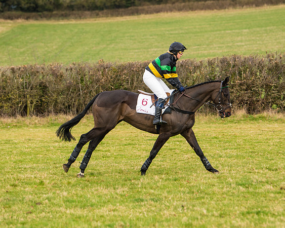 Race 3 - Restricted  (14 of 100)