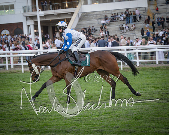 Race - 7 The Royal Gloucester Hussars Open Hunter's steeplechase 2m4f 127y (20 of 210)