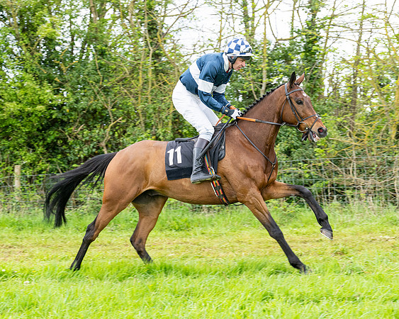 Race 2 - 2M4F Conditions (58 of 195)
