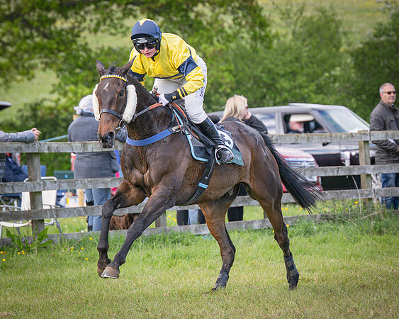 Race 6 - The sir James Shuckburgh Restricted race (55 of 85)