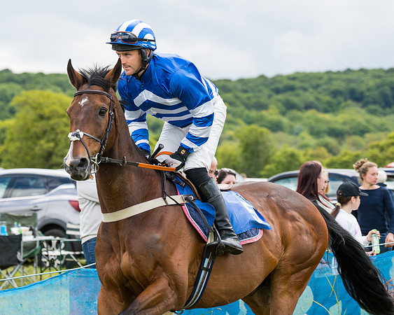 Race 2 - PPORA Novice Riders  (68 of 187)