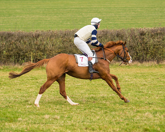 Race 3 - Restricted  (22 of 100)