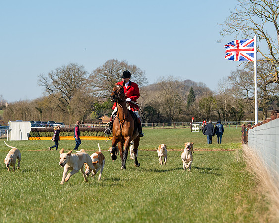 Hunt Horses annd Hound parade (26 of 44)