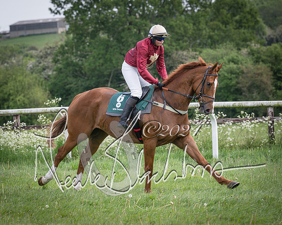 Race 1 - the Grafton adjacent hunts conditions race (level 2) (31 of 120)