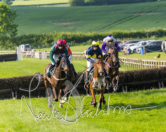 Race 6 - Owner trainer conditions (131 of 272)