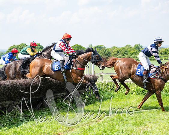RAce 1 - Conditionsn [Level 2] (137 of 219)