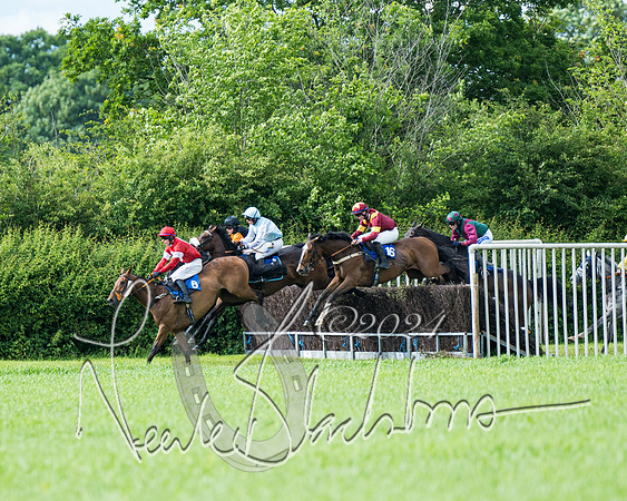 Race 5 - Restricted Race (257 of 434)