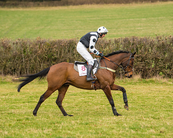Race 3 - Restricted  (29 of 100)