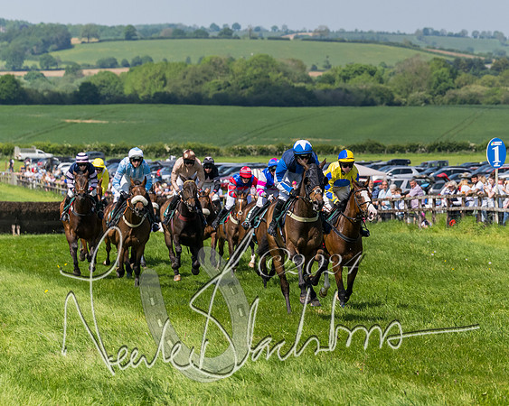 Race 2 - The Maiden  (225 of 442)