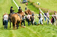 Ponies and Hounds 12