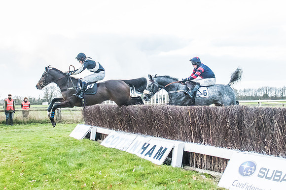 2 Mile 4 Furlong Maiden Race -30