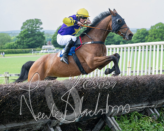 Race 2 - Restricted  (281 of 308)