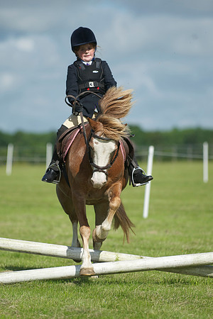 SOHS PC Summer Show at BCA 17th June 2012