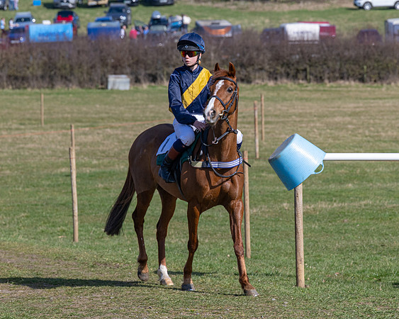 Pony Race 2 - 138cm (4 of 65)