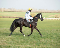 Race 4 - Restricted Race (7 of 137).jpg