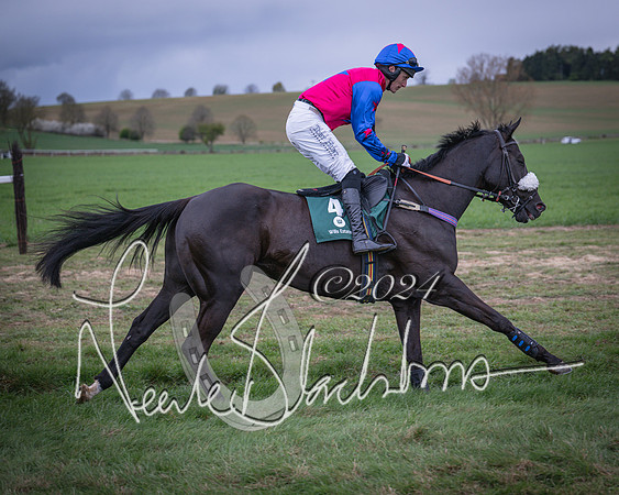 Race 6 - The Restricted Race (20 of 101)