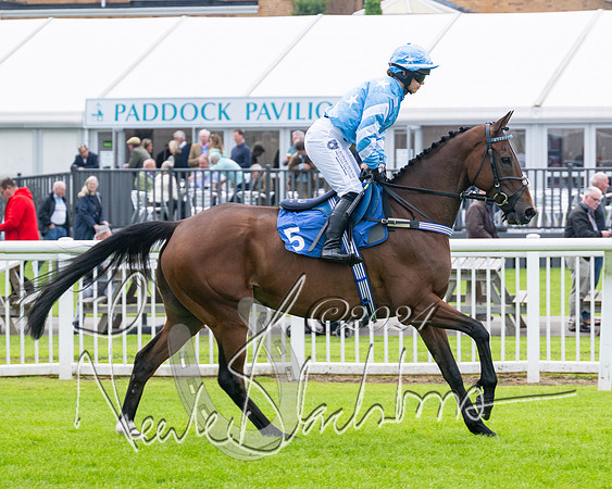 Race 2 - Ladies Open Final (14 of 94)