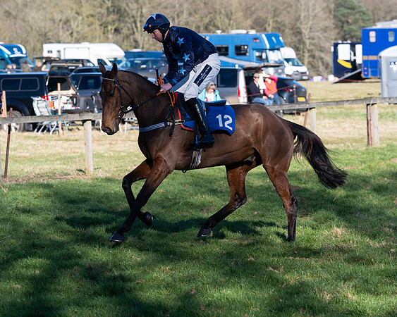 Race 5 - Maiden (15 of 123)
