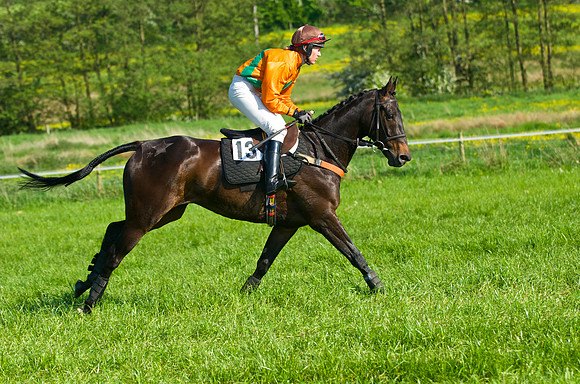 GR6_9625